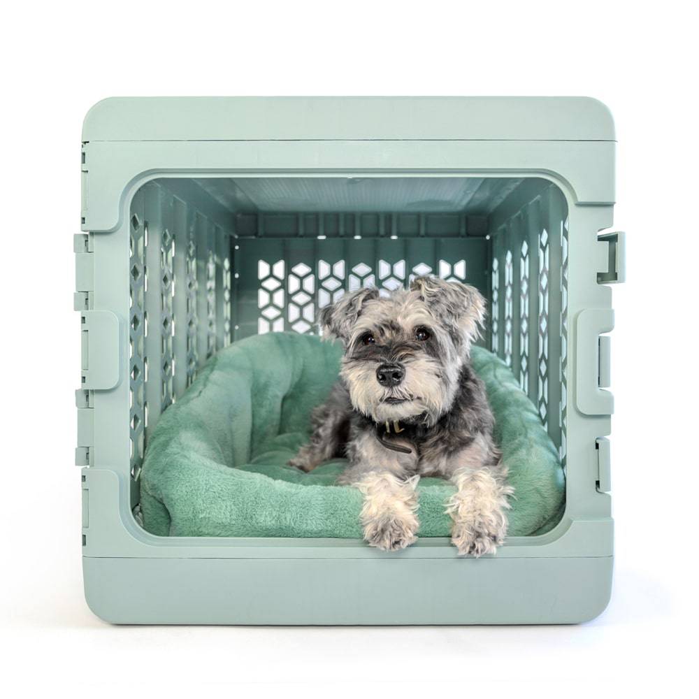 Calming Lounger Dog Bed