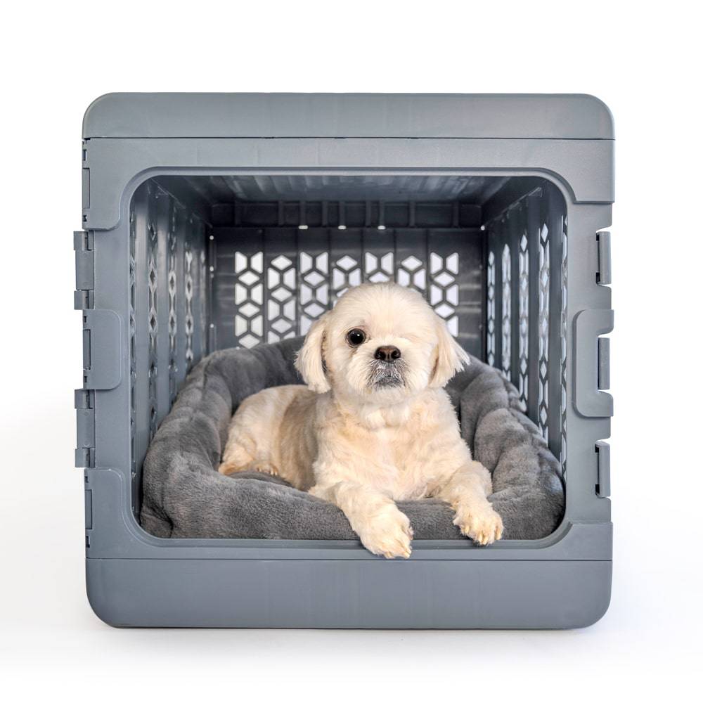 Calming Lounger Dog Bed