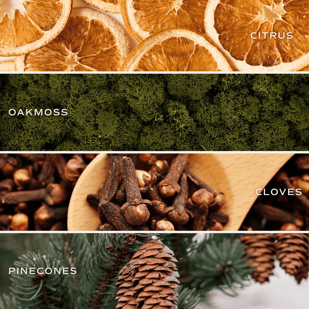 Holiday Soy Candle - White Jar - 11 oz