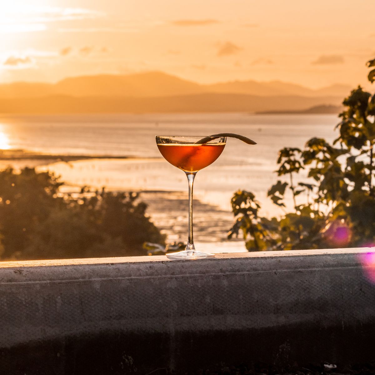 Hepburn Set of 2 Coupe Glasses