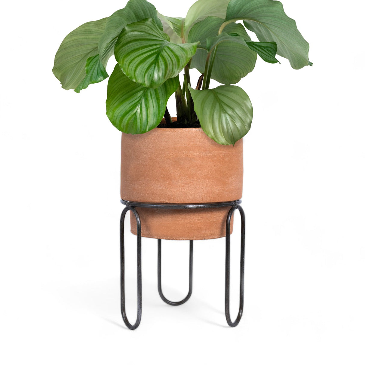 Jaro Short Terracotta Planter by MESO