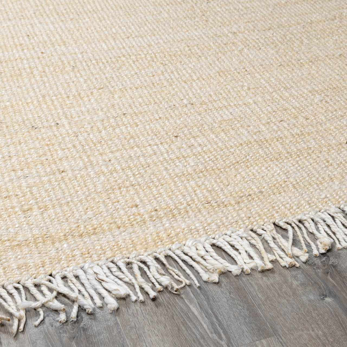 Iantha Jute Rug