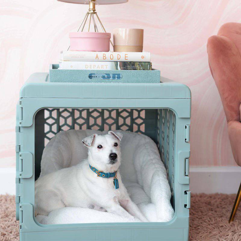 PAWD® Modern Collapsible Dog Crate