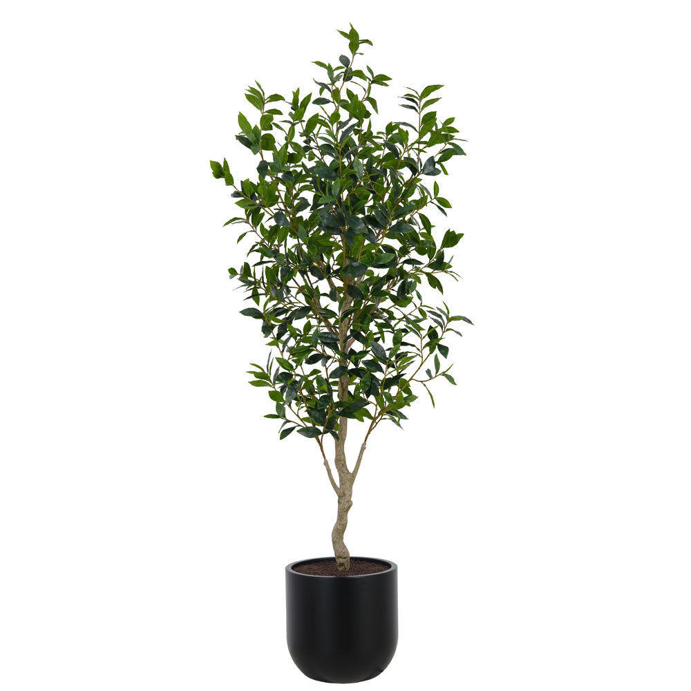 7' Faux Potted Laurel Tree