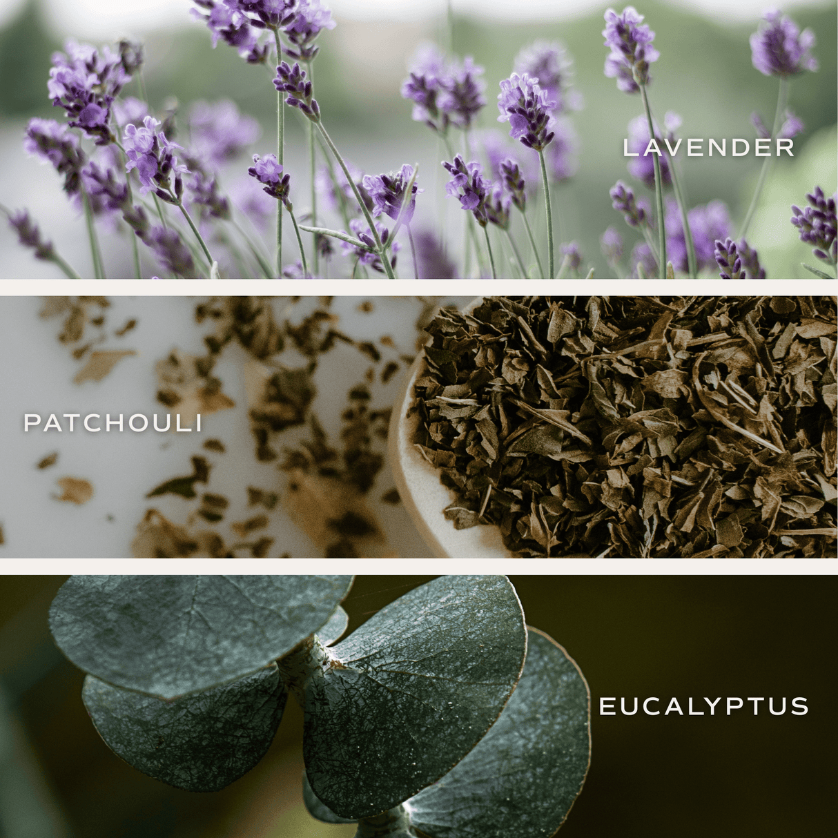 Calm and Comfort Clear Reed Diffuser (Self Care Lavender and Eucalyptus)