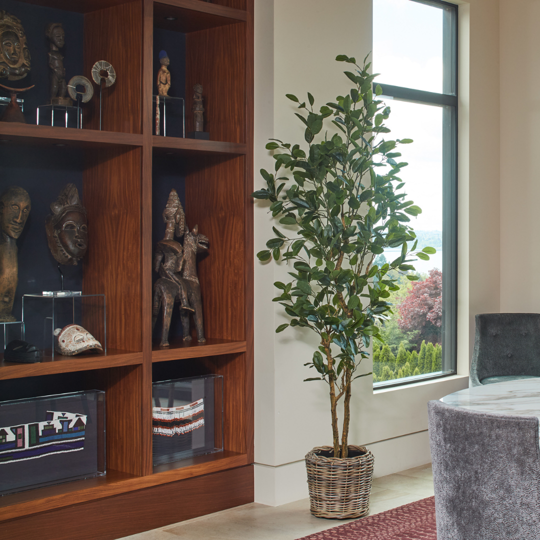 7' Citrus Lemon Tree