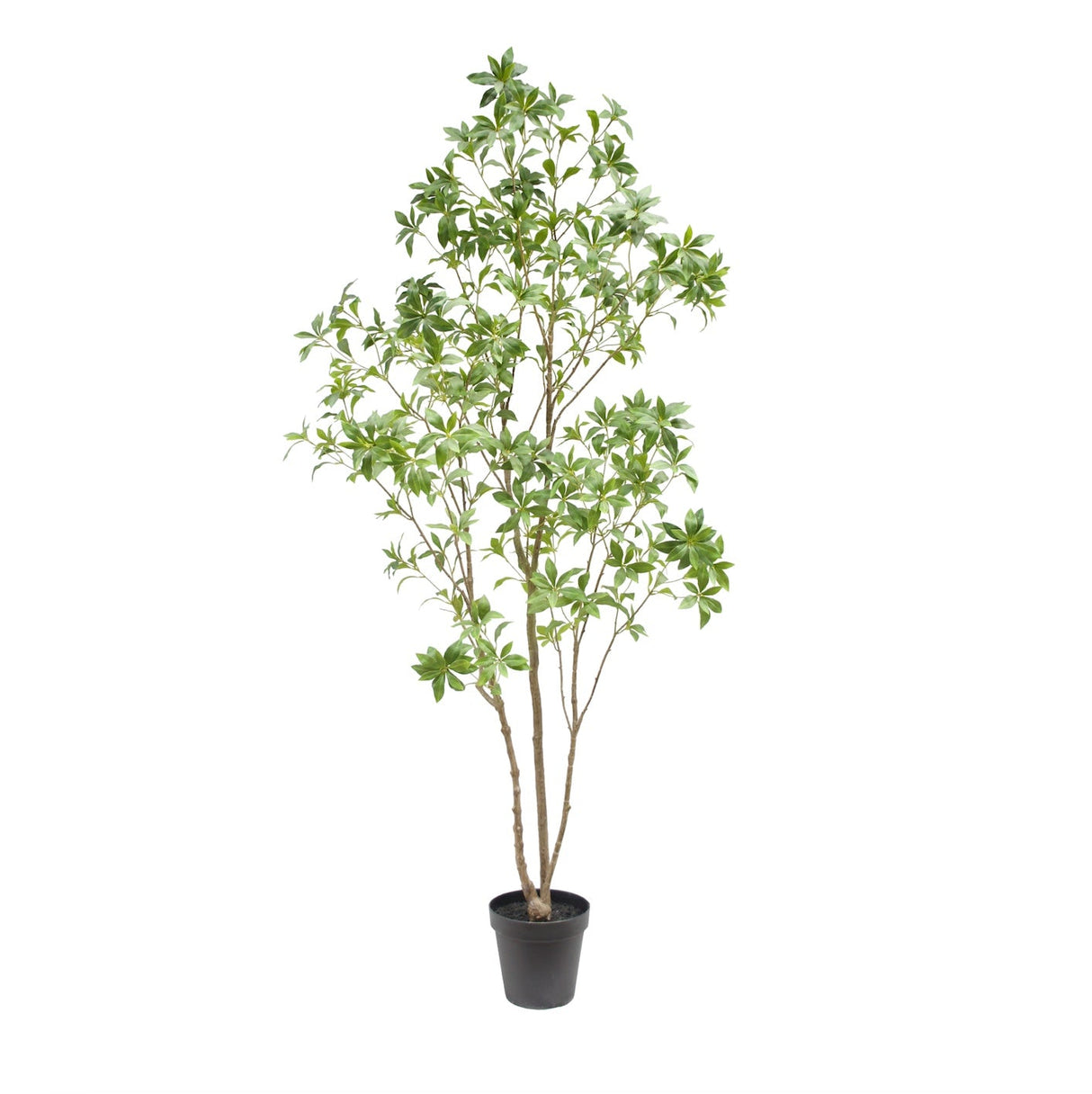 7' Artificial Laurel Tree