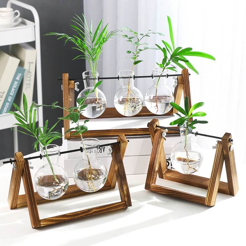 Glass Globe Propagation Stations