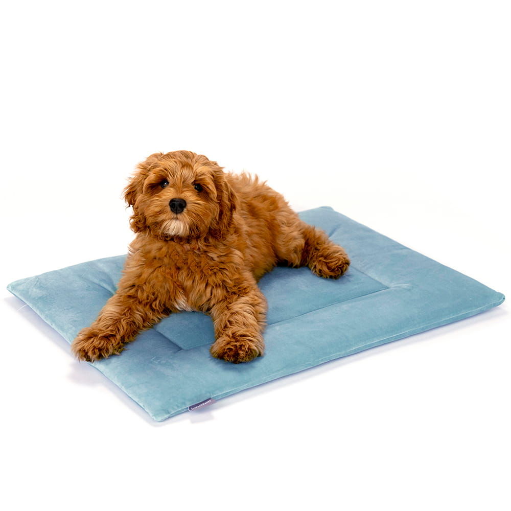 PAWD Crate Pad & Dog bed