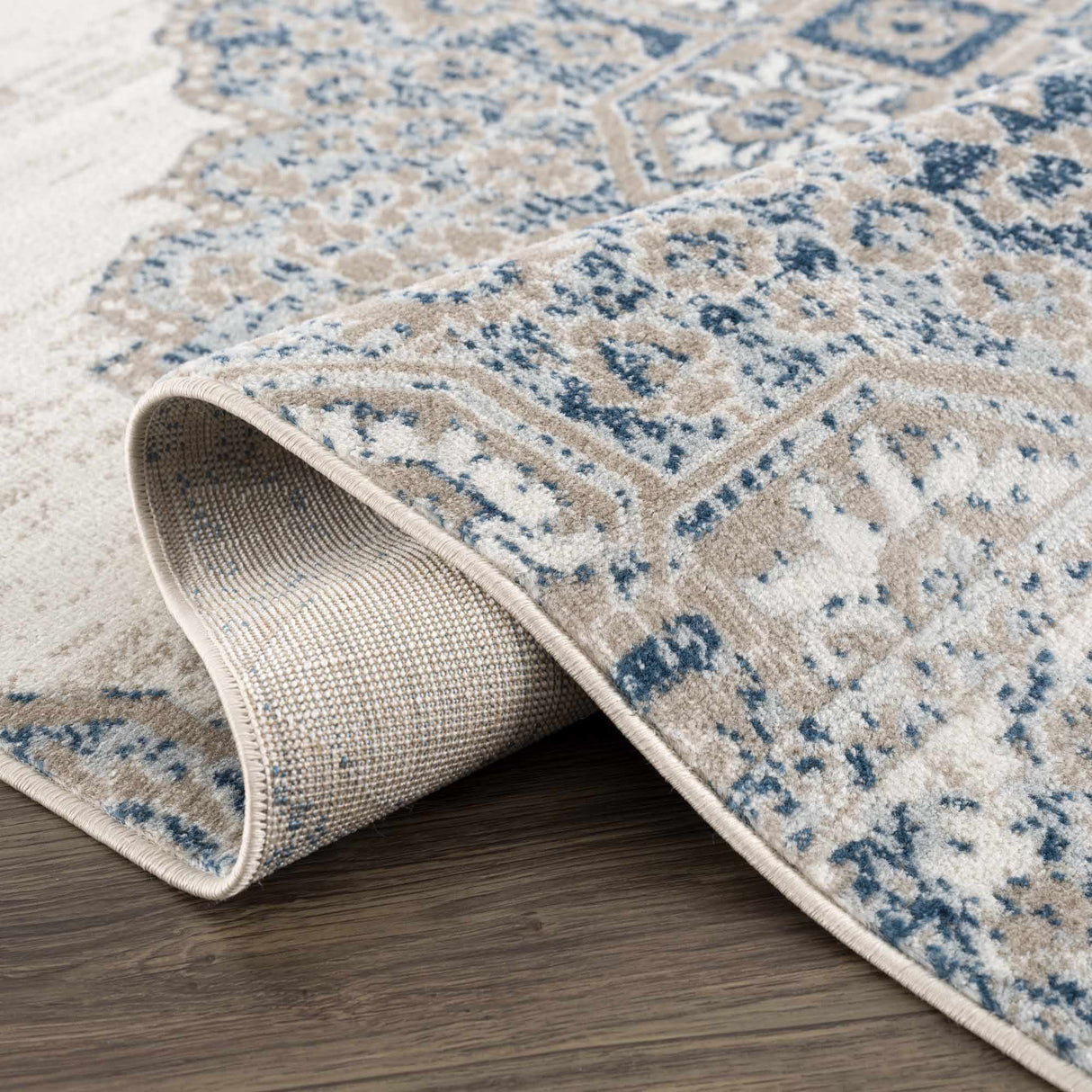 Amir Area Rug - Clearance
