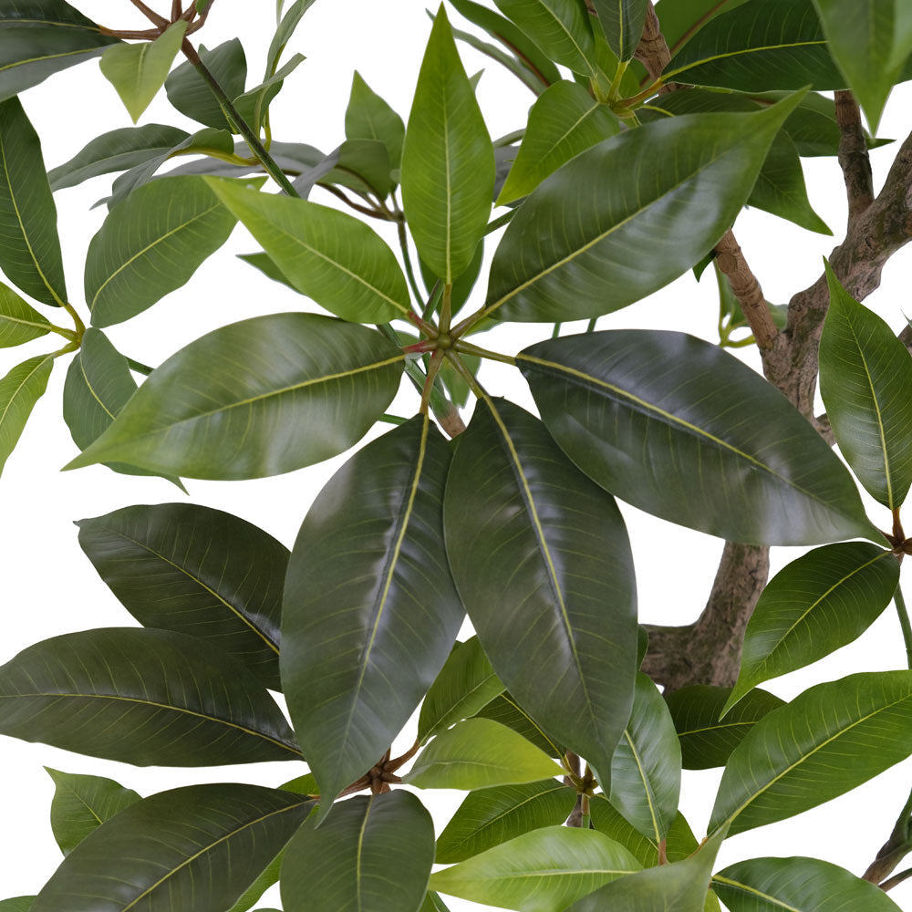 7' Faux Potted Money Tree