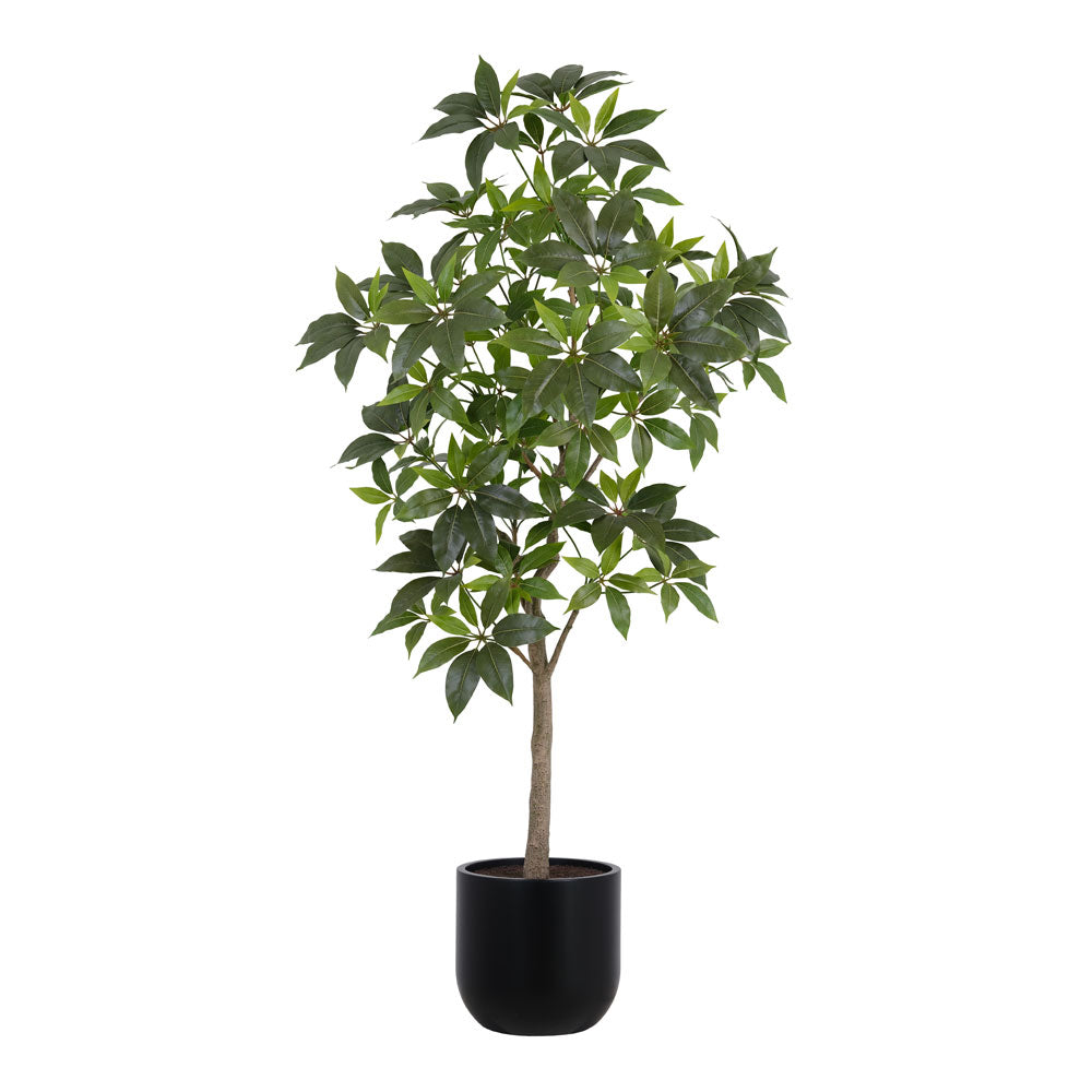 7' Faux Potted Money Tree
