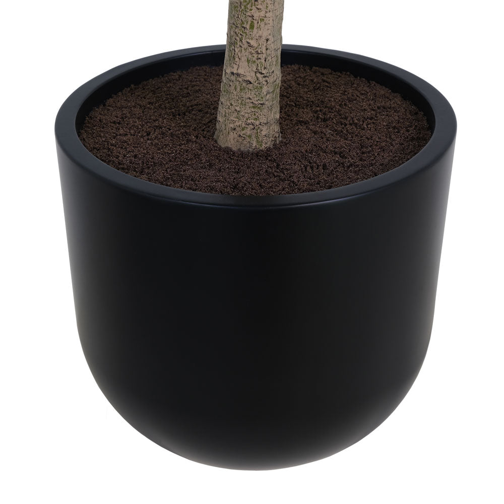 7' Faux Potted Money Tree