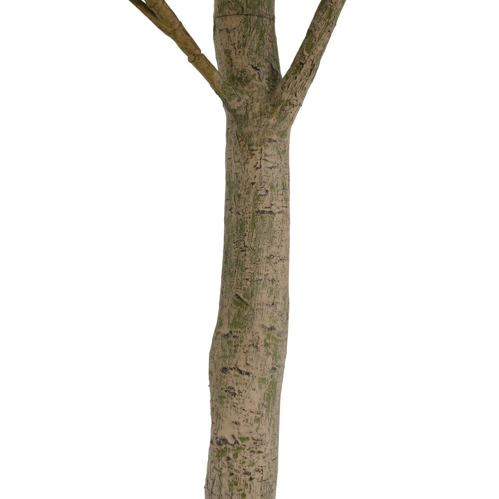 7' Faux Potted Money Tree