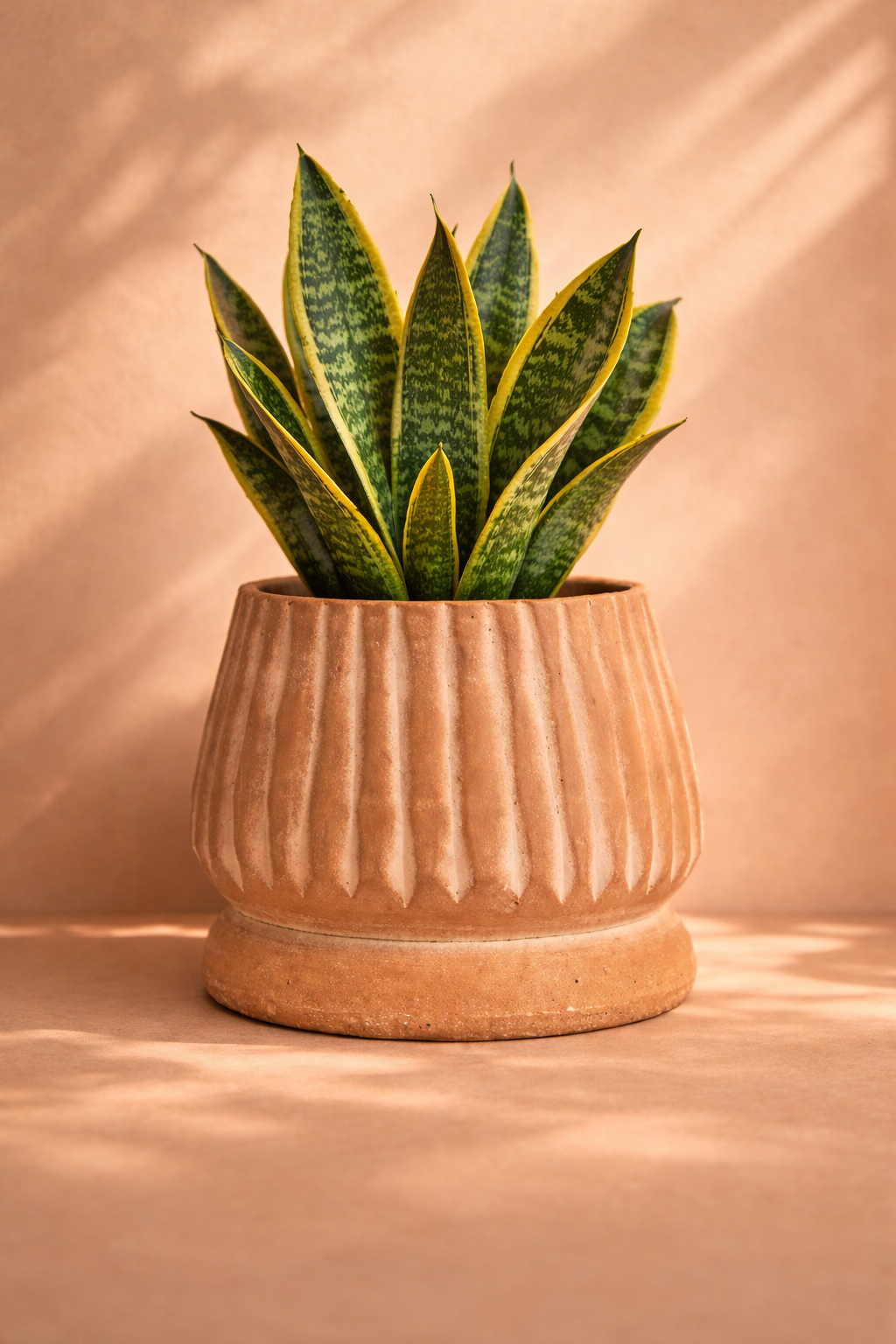 Mateo Terracotta Planter by MESO