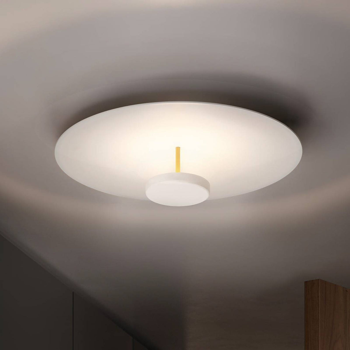 OLEV Overfly Plus Ceiling Light