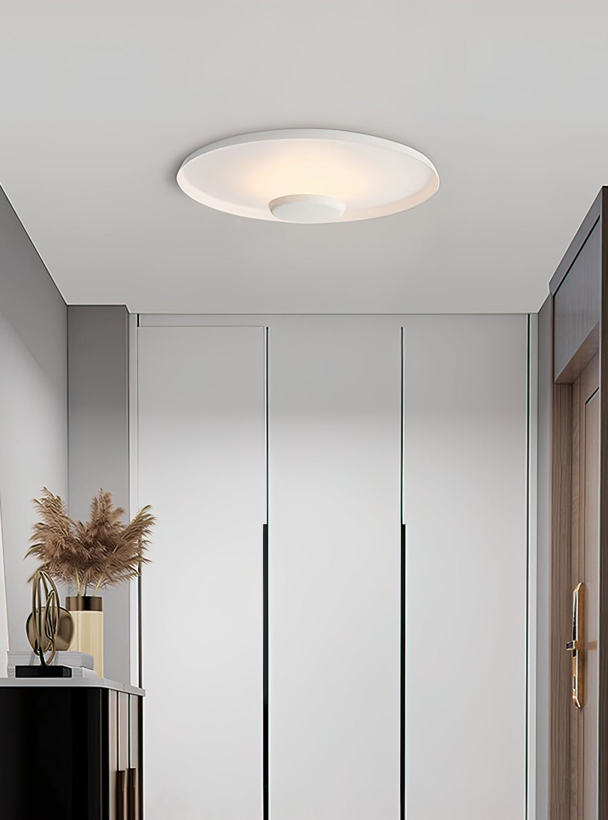 OLEV Overfly Plus Ceiling Light
