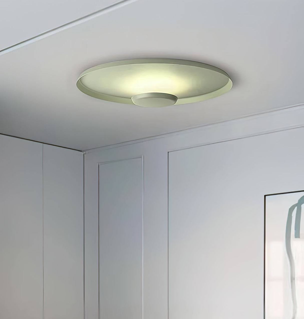 OLEV Overfly Plus Ceiling Light