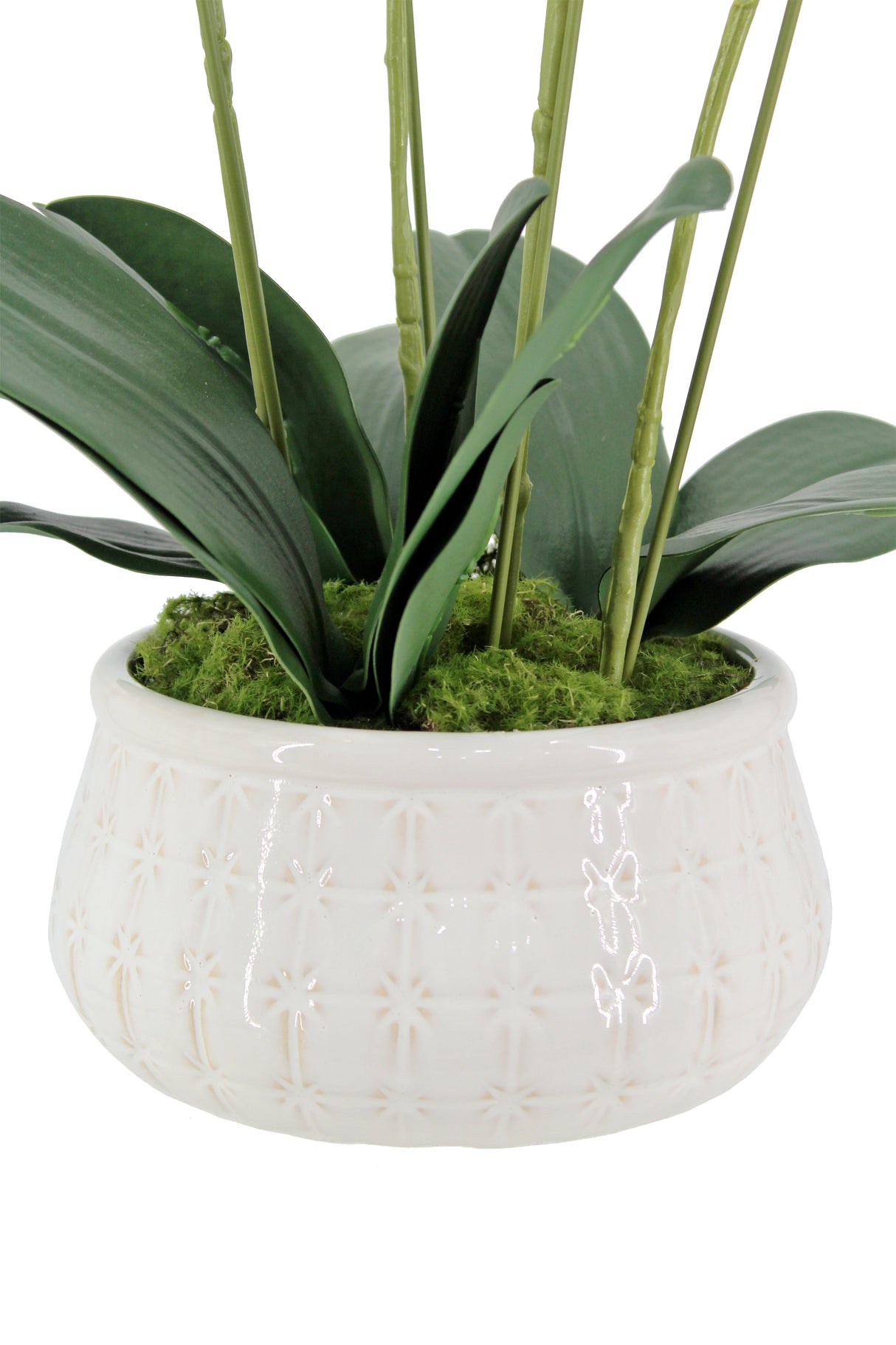 Artificial 4-Stem Phalaenopsis White Orchid