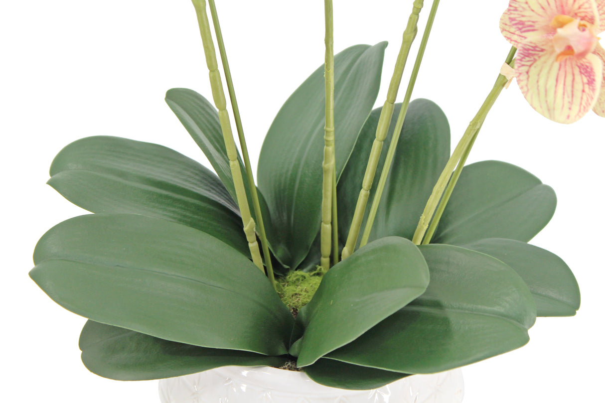 Artificial 4-Stem Phalaenopsis Orange Orchid