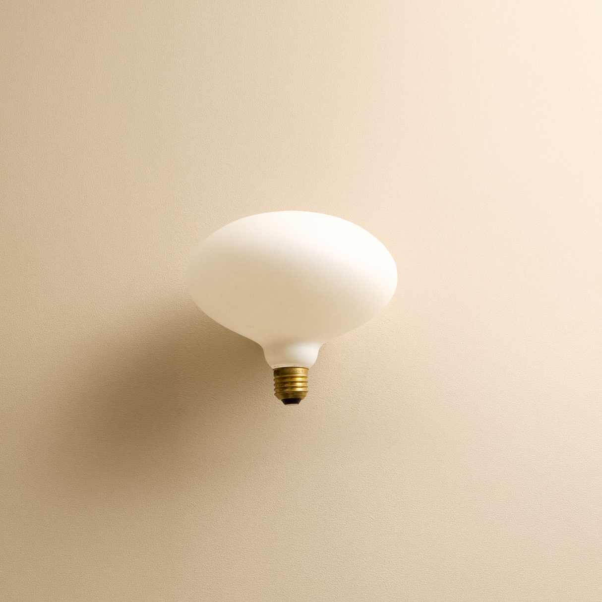 Oval E26 LED Bulb