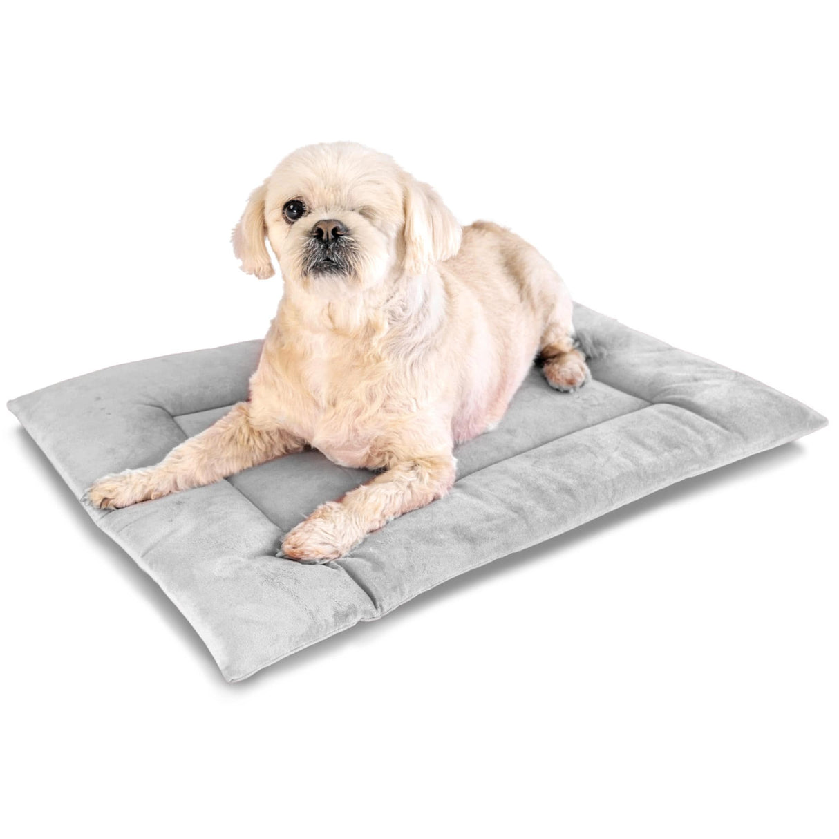 PAWD Crate Pad & Dog bed