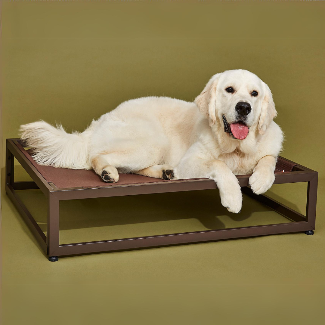 The Up Pup Raised Dog Bed