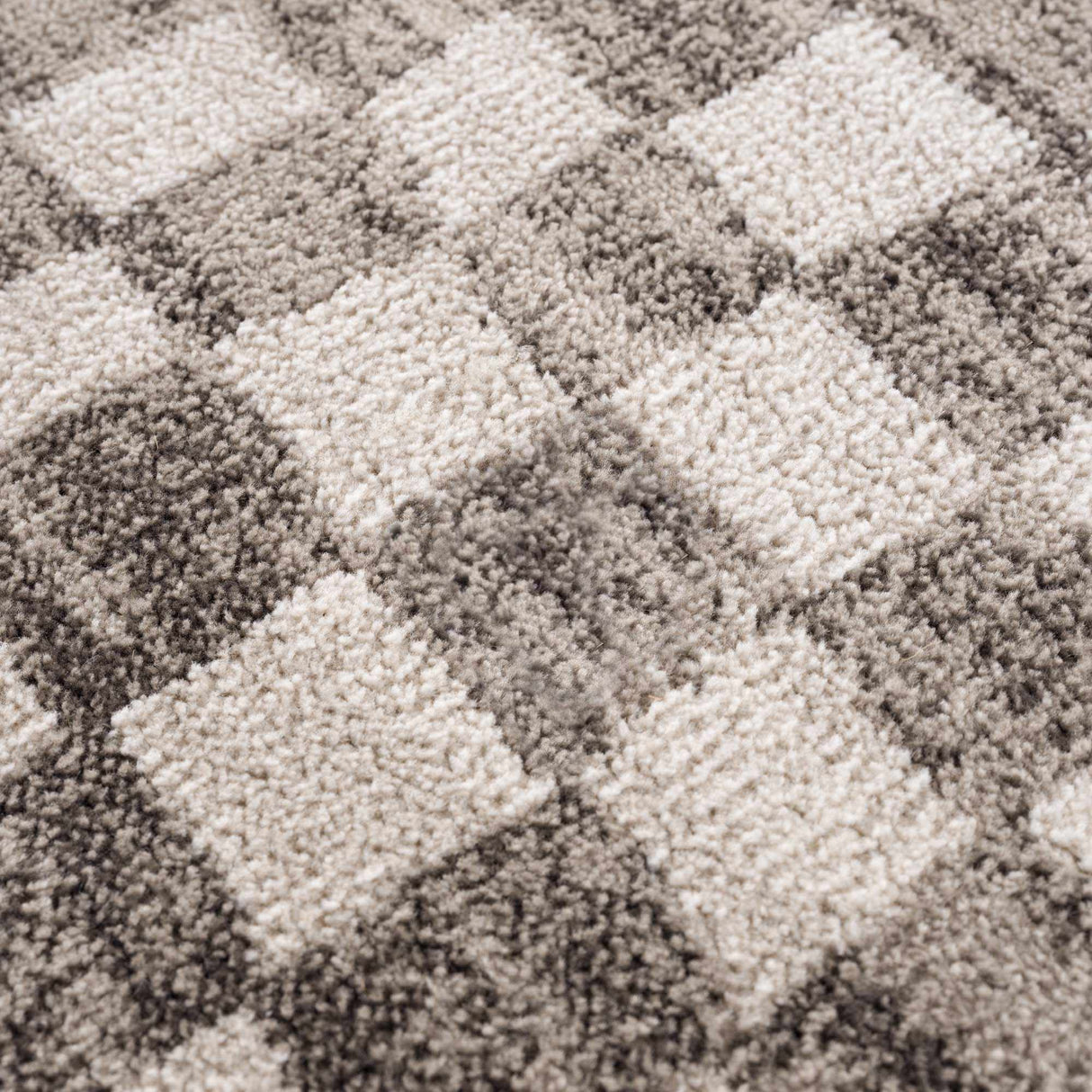 Benjy Beige Checkered Area Rug