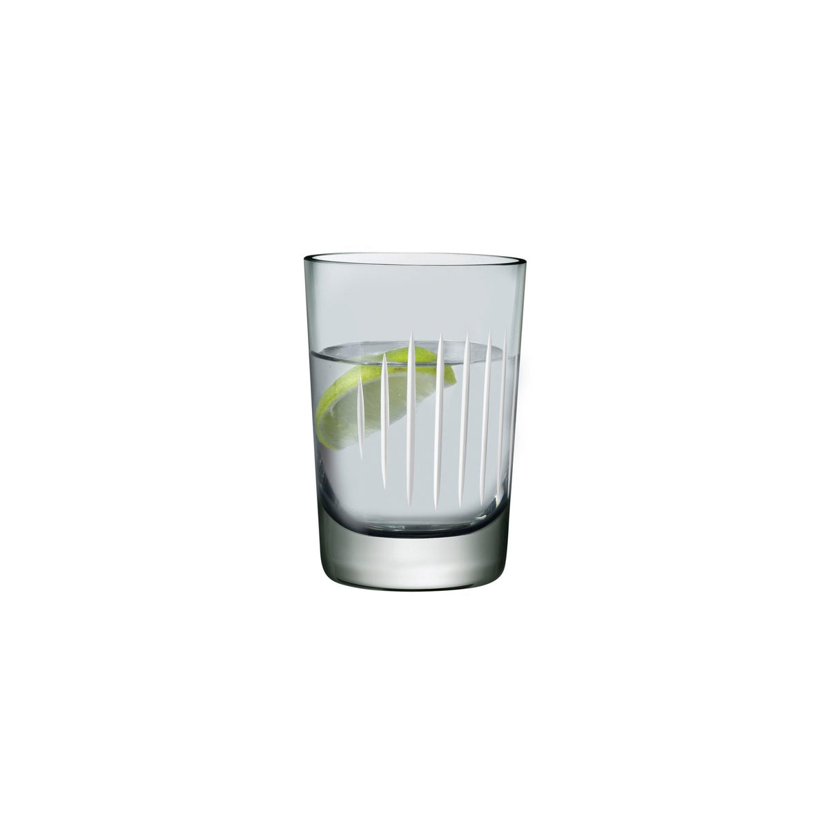 Parrot Set of 2 Water Glasses