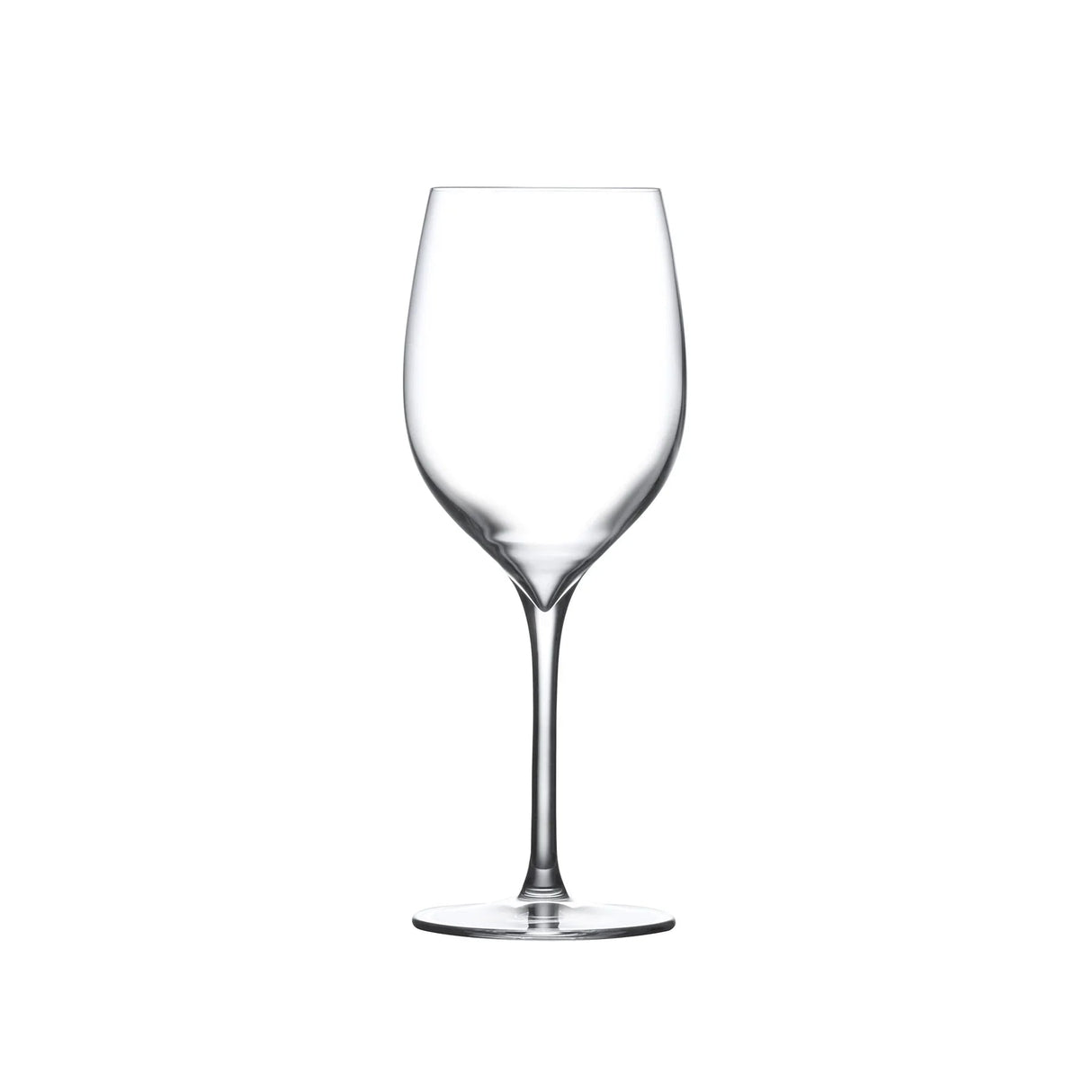 Terroir Set of 2 White Wine Glasses