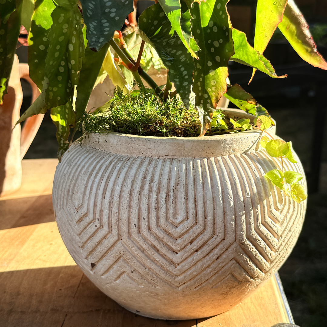 Linden Concrete Vessel, 8"D X 6"H