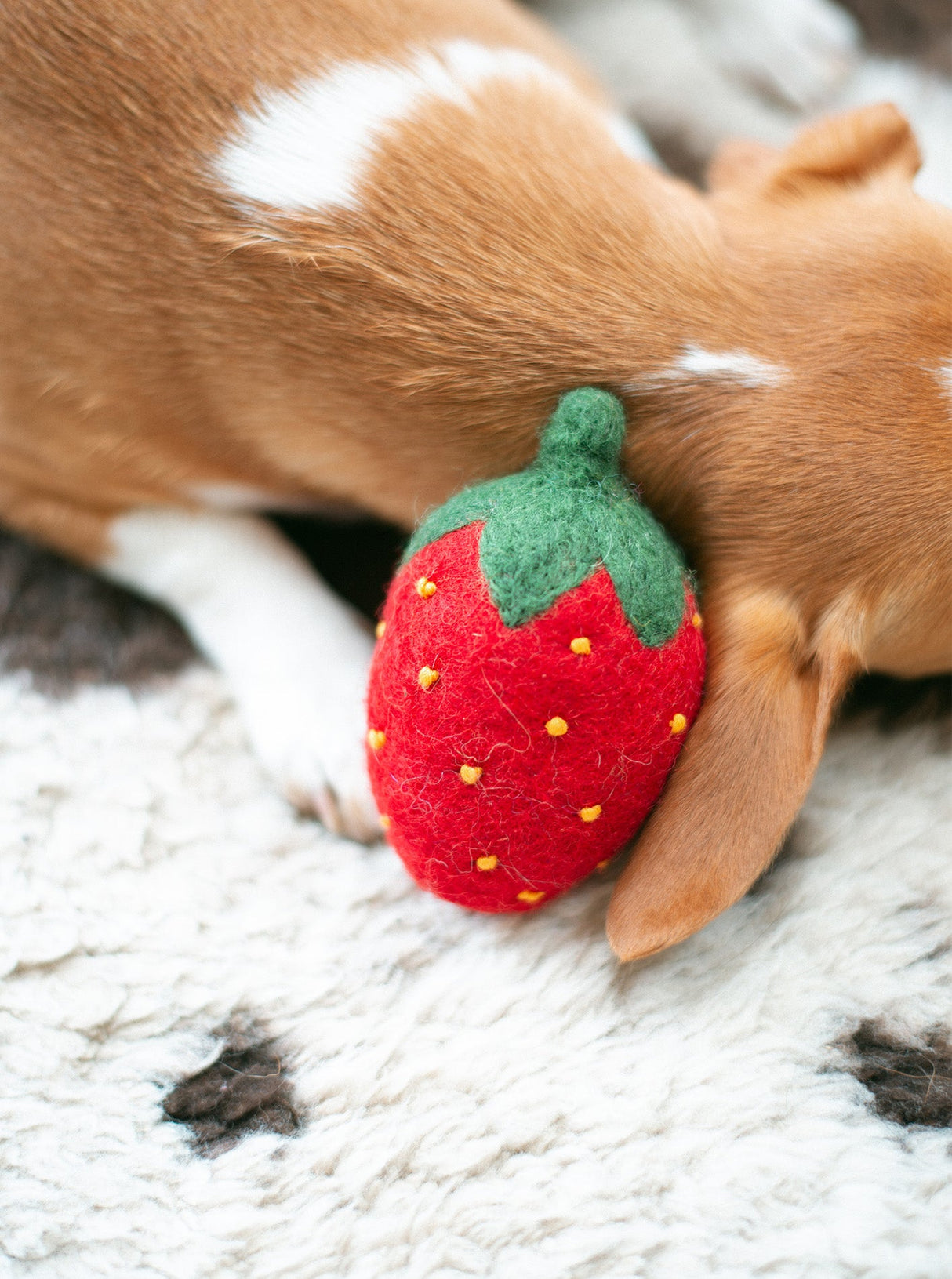 RED STRAWBERRY WOOL DOG TOY
