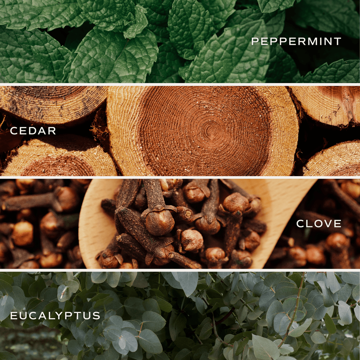 Relaxation Clear Reed Diffuser