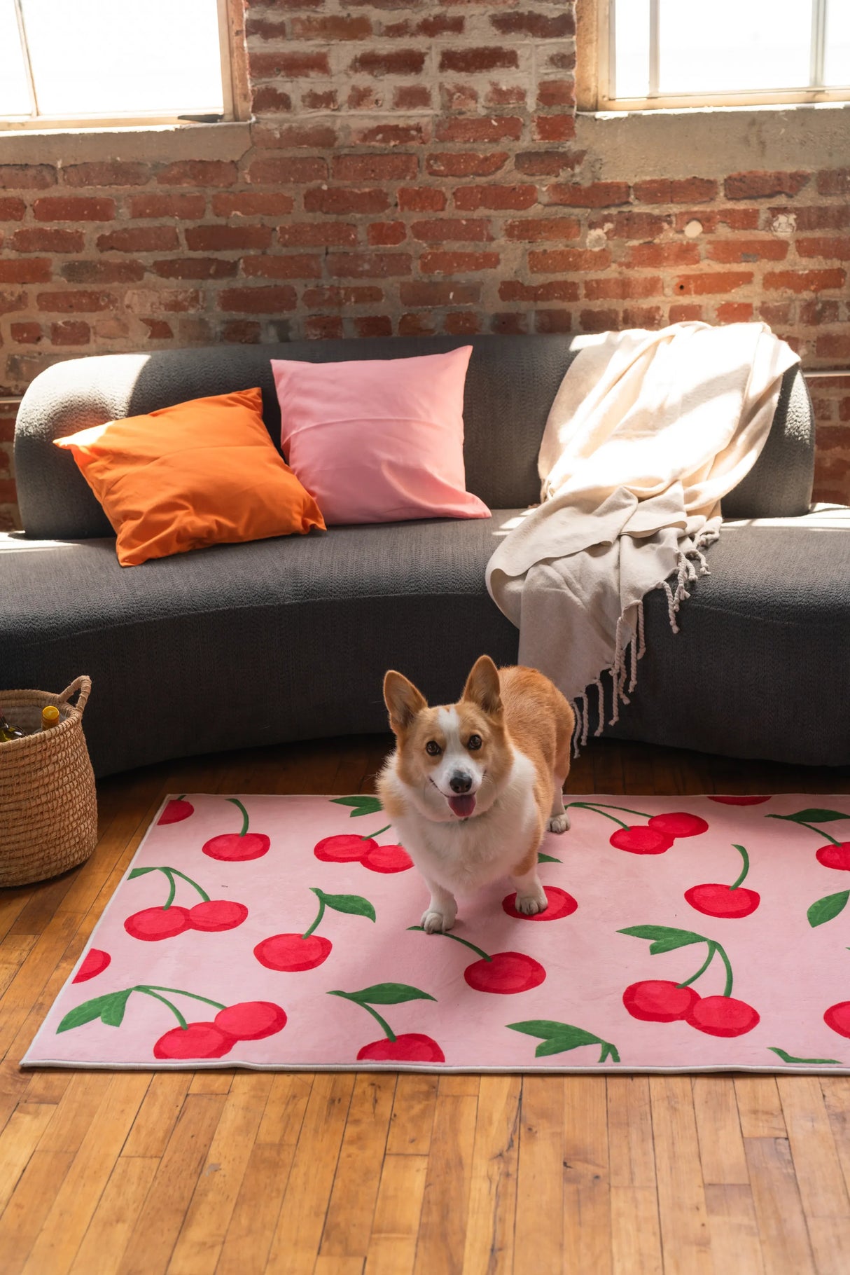 Cute Pink Cherry Rug by Elizabeth Bay