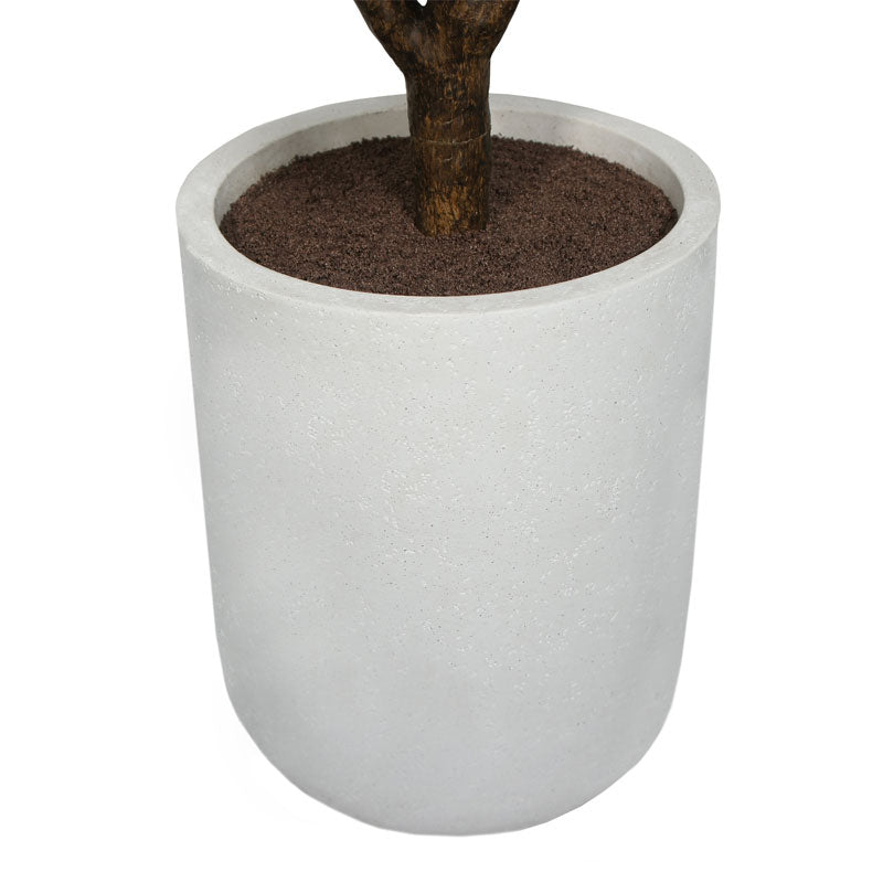 5' Rubber Ficus Tree in Modern Planter
