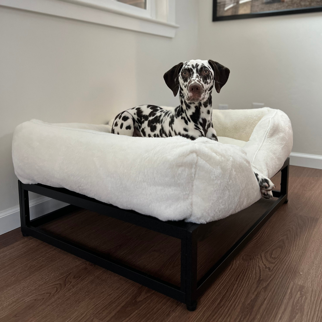 The FÜZI Elevated Dog Bed