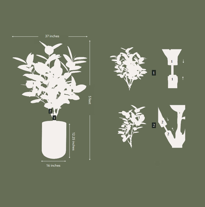 5' Rubber Ficus Tree in Modern Planter