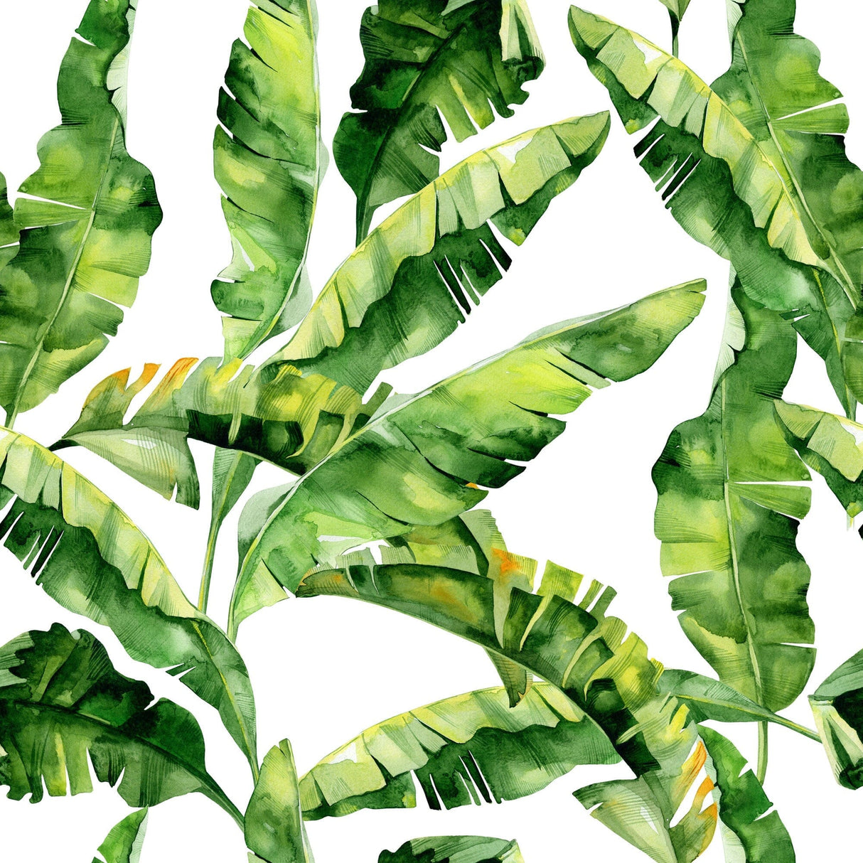 Green Tropical Leaf Wallpaper
