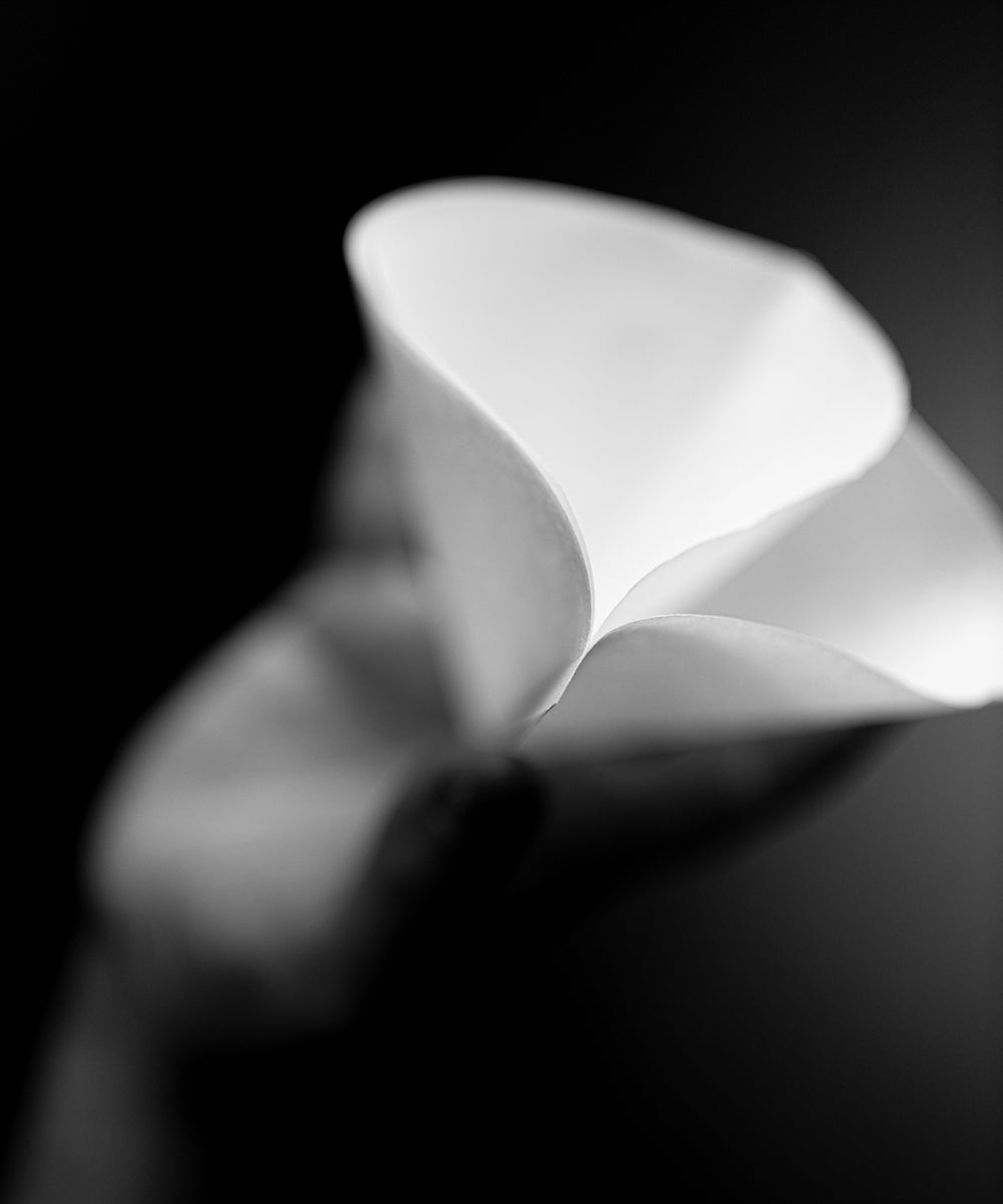 Sibarist Dual Chamber Filters - 30 sheet pack