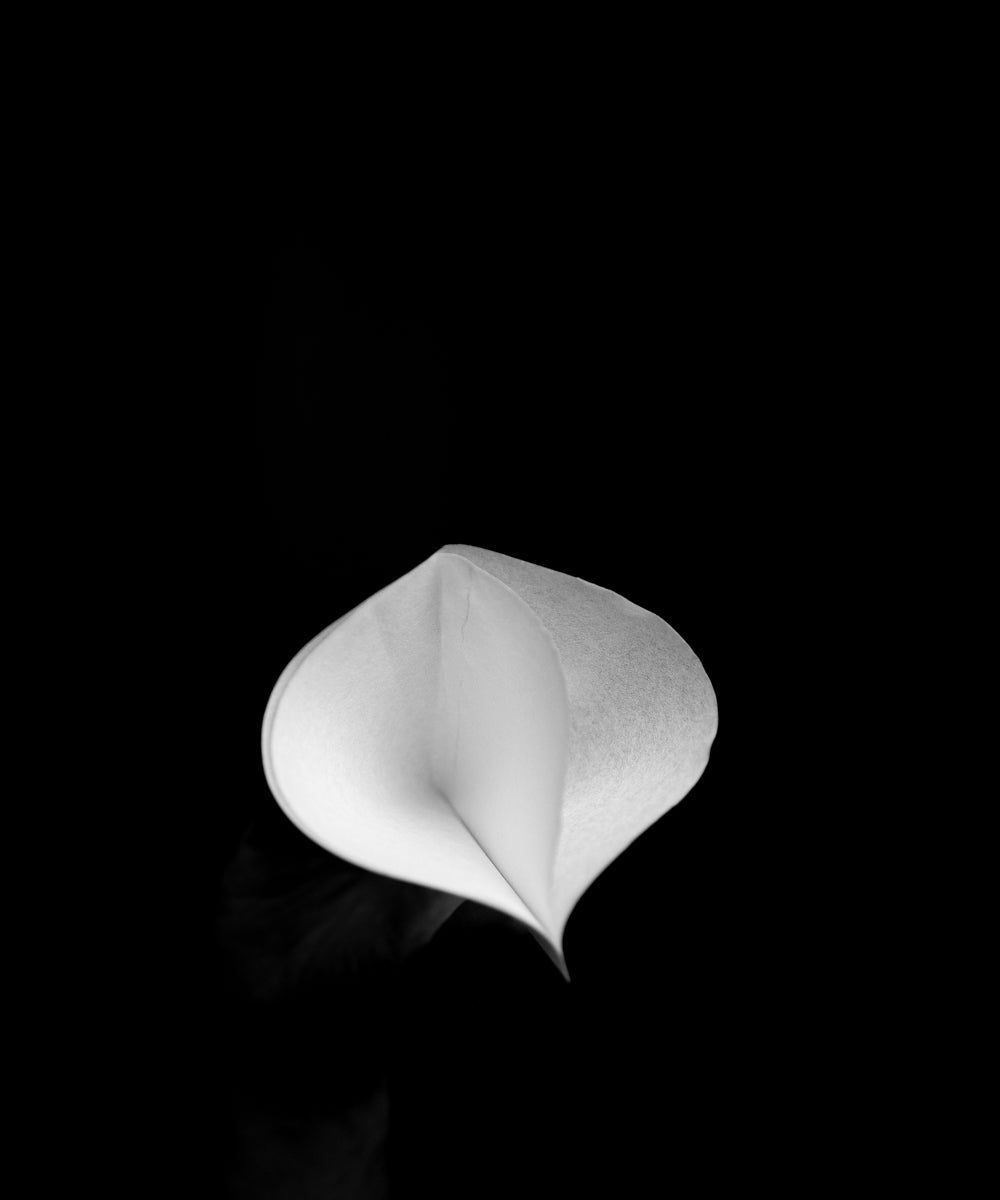 Sibarist Dual Chamber Filters - 30 sheet pack