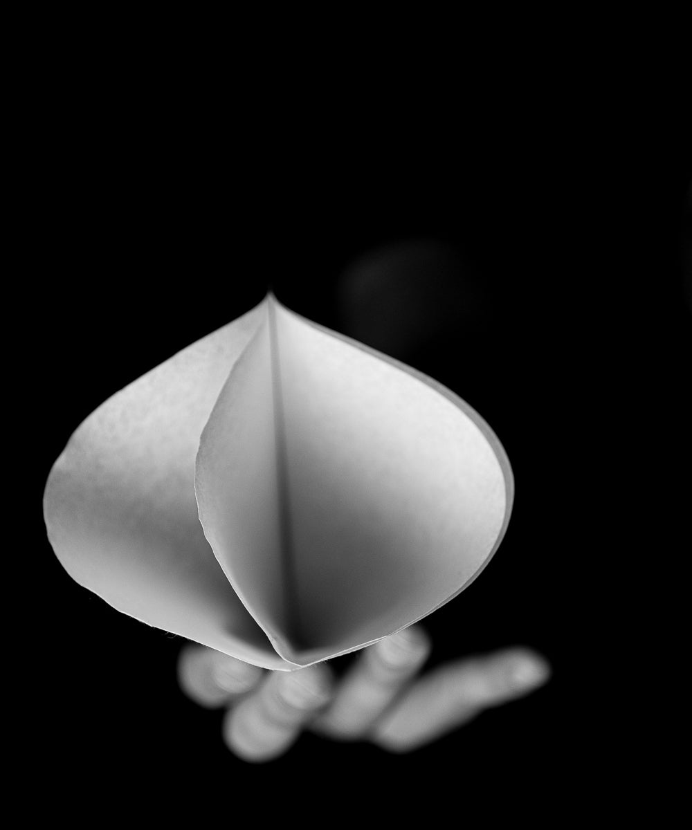 Sibarist Dual Chamber Filters - 30 sheet pack