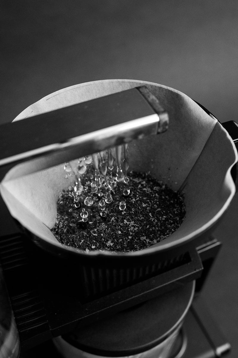 Sibarist FAST Trapezoid