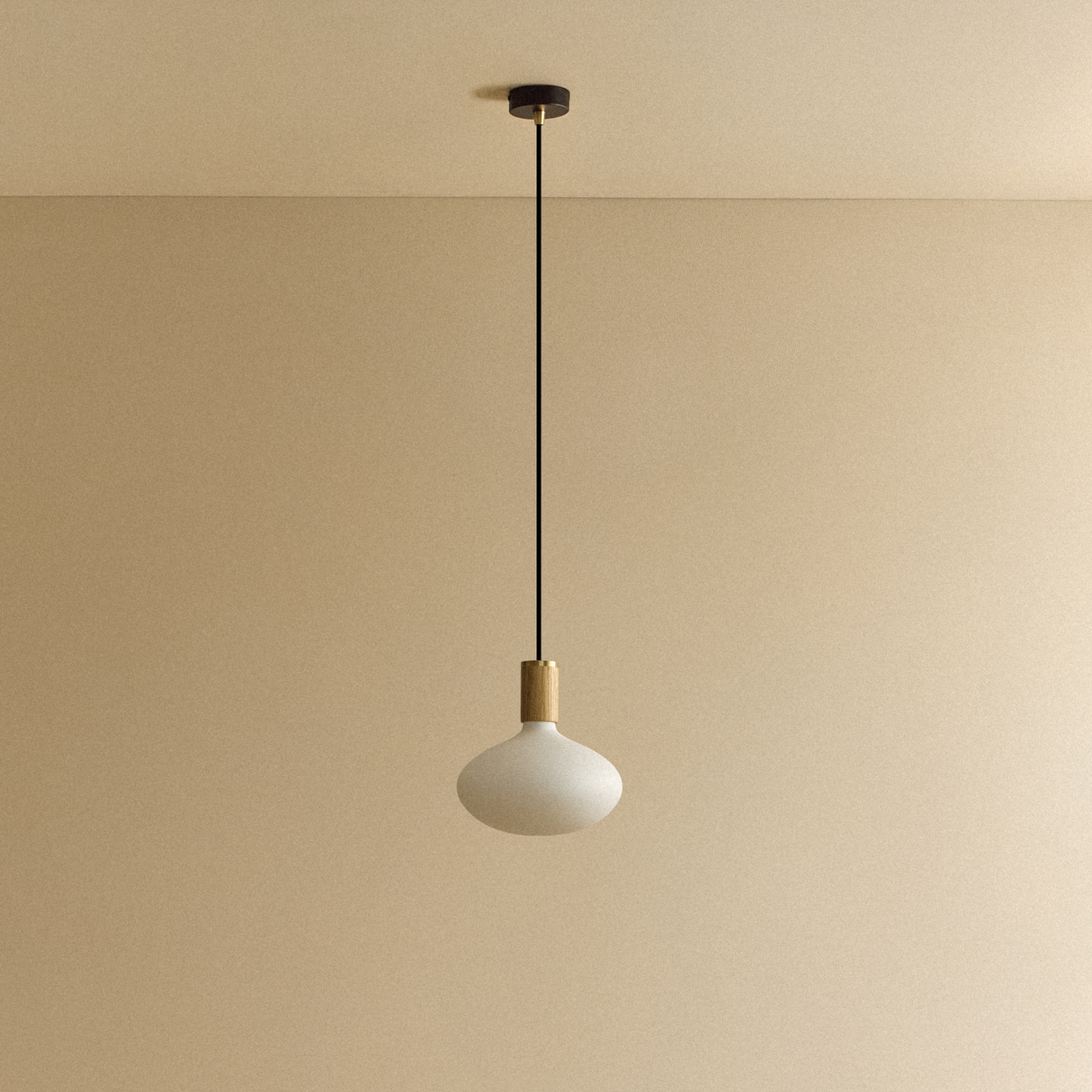 Oval II Pendant Light in Oak