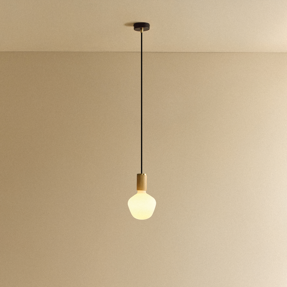Enno Pendant Light in Oak
