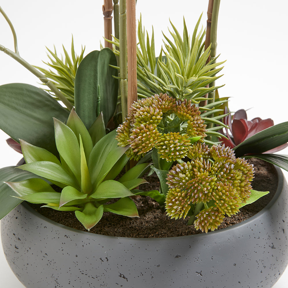 Artificial Orchid with Succulents