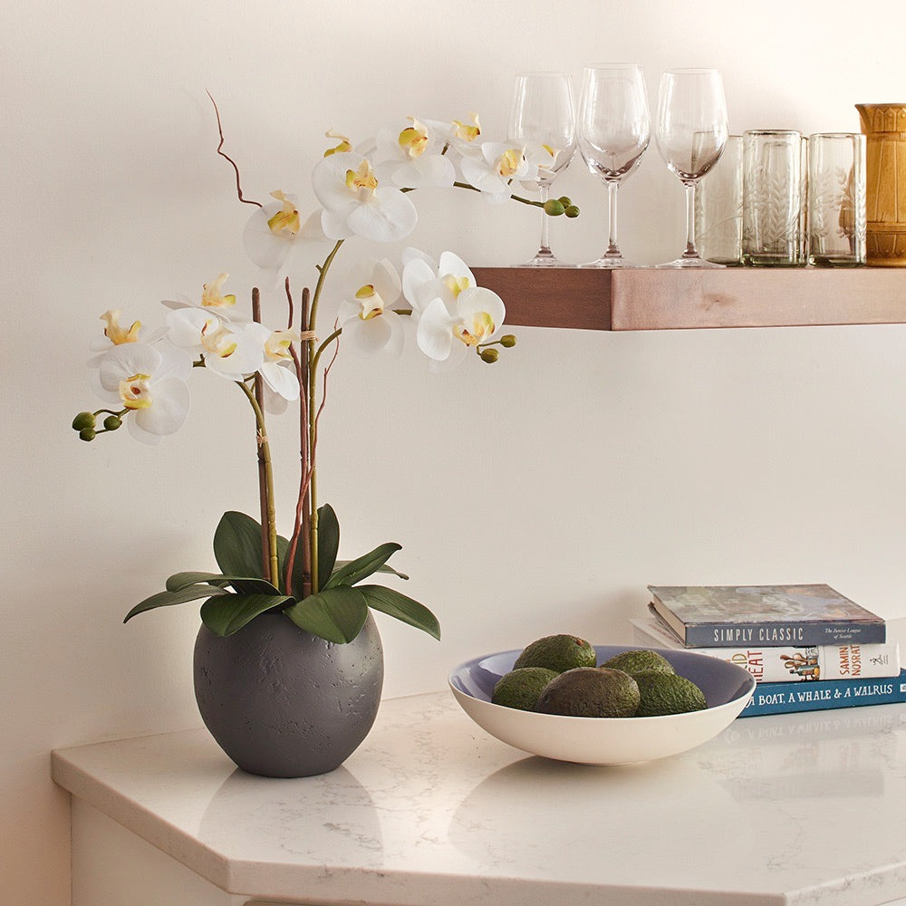 Artificial White Double Stem Orchid