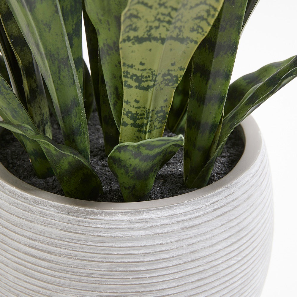 Artificial Snake Plant with Artisan Planter