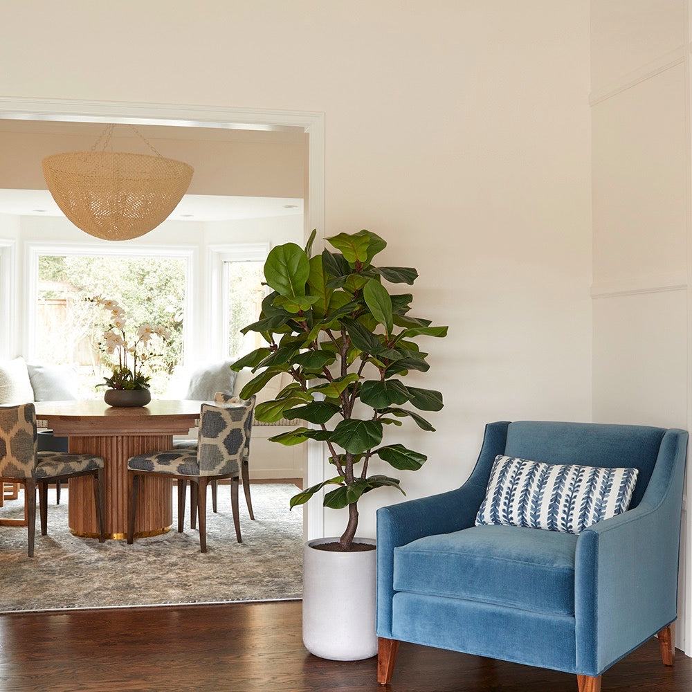 Artificial Fiddle Leaf Fig Tree with Artisan Planter