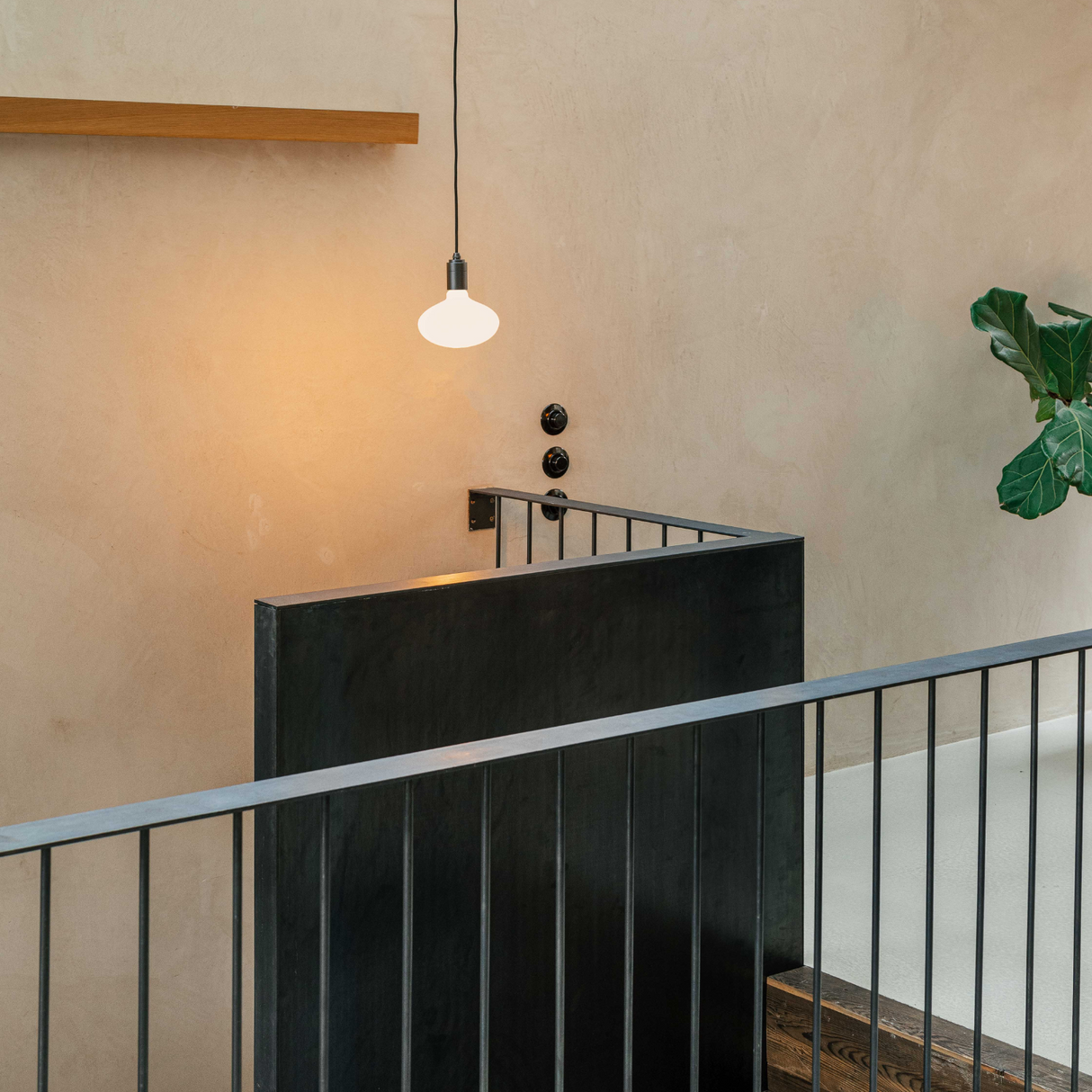 Oval Pendant Light in Graphite