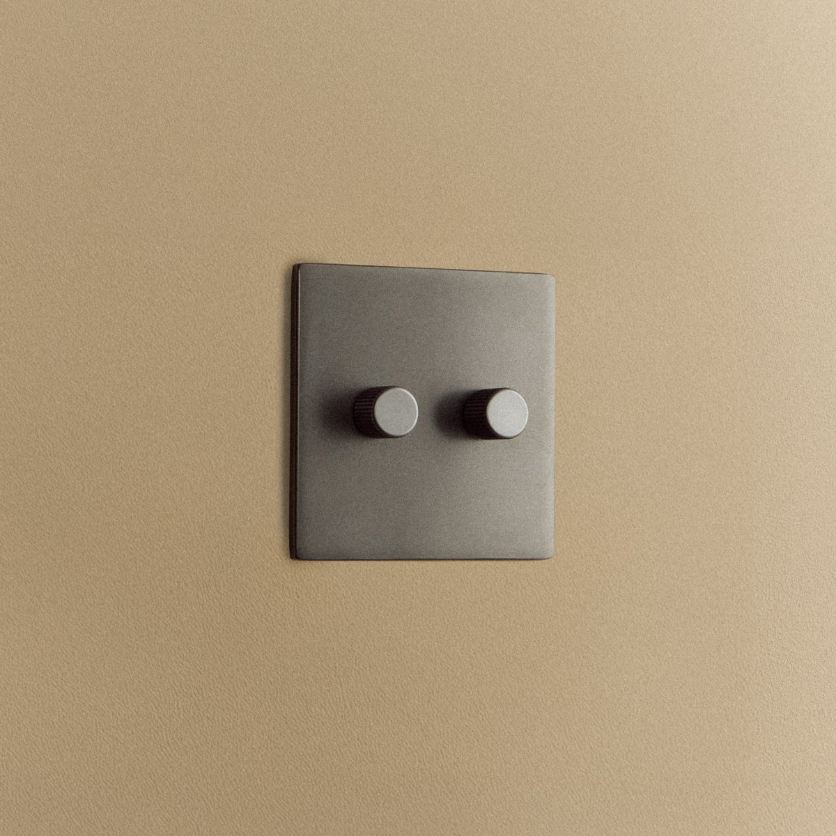 Double Rotary Wall Dimmer in Graphite
